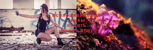 ПСИЛОЦИБИНОВЫЕ ГРИБЫ Армянск