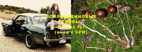 ПСИЛОЦИБИНОВЫЕ ГРИБЫ Армянск