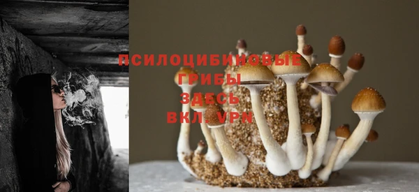 молекула духа Аркадак