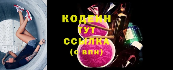 прущие грибы Арсеньев