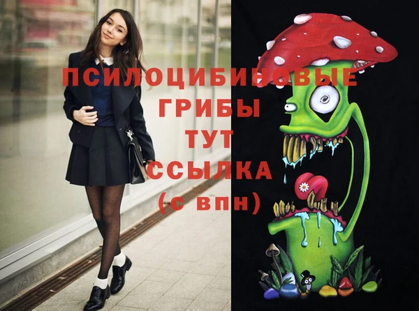 прущие грибы Арсеньев