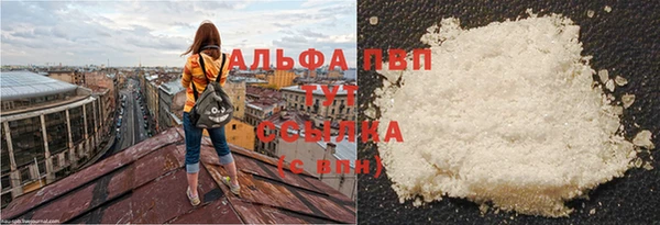 молекула духа Аркадак