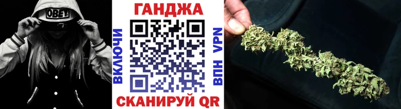 закладка  Рыбное  Конопля сатива 